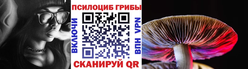 MEGA маркетплейс  Никольск  Псилоцибиновые грибы прущие грибы 